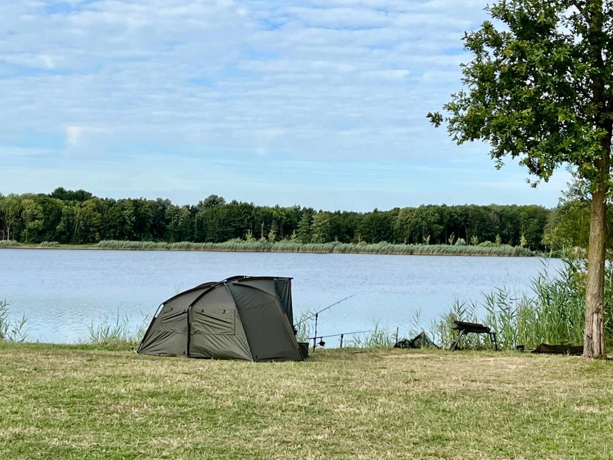 Supergezellig Vakantiehuis Met Hele Grote Tuin Bij Nijmegen Ewijk Luaran gambar
