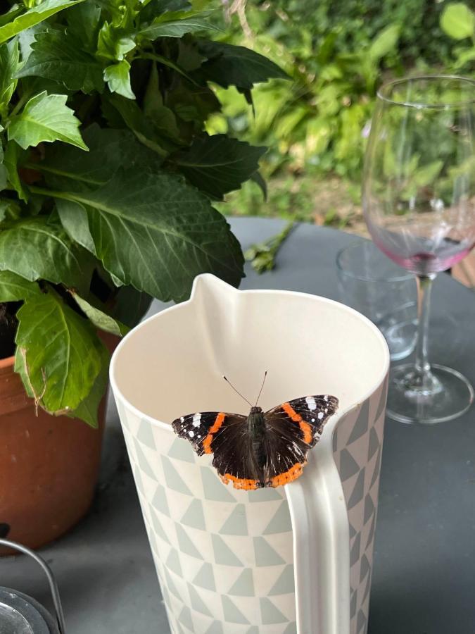 Supergezellig Vakantiehuis Met Hele Grote Tuin Bij Nijmegen Ewijk Luaran gambar