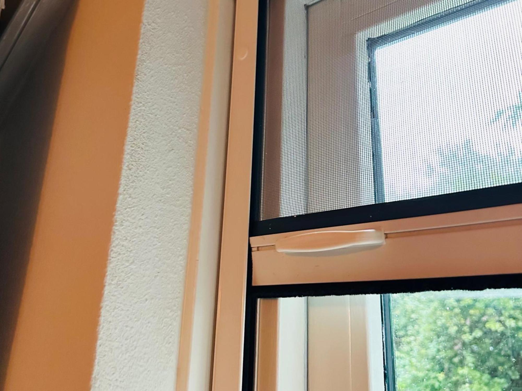 Supergezellig Vakantiehuis Met Hele Grote Tuin Bij Nijmegen Ewijk Luaran gambar